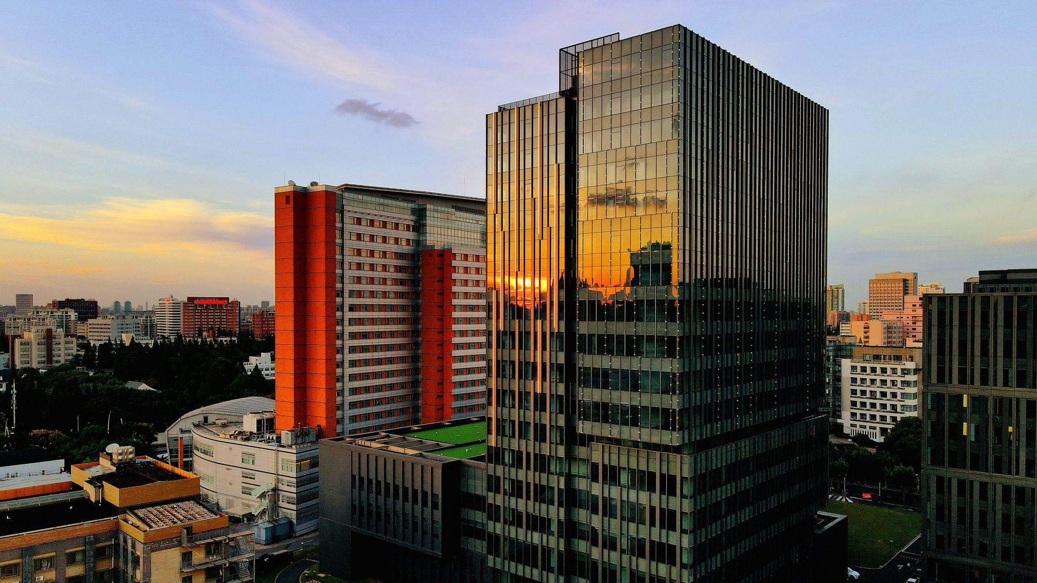 重磅推出！新加坡管理大学携手成人直播
：区域首个科技导向的 DBA(Tech) 招生启动！